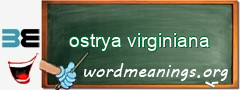 WordMeaning blackboard for ostrya virginiana